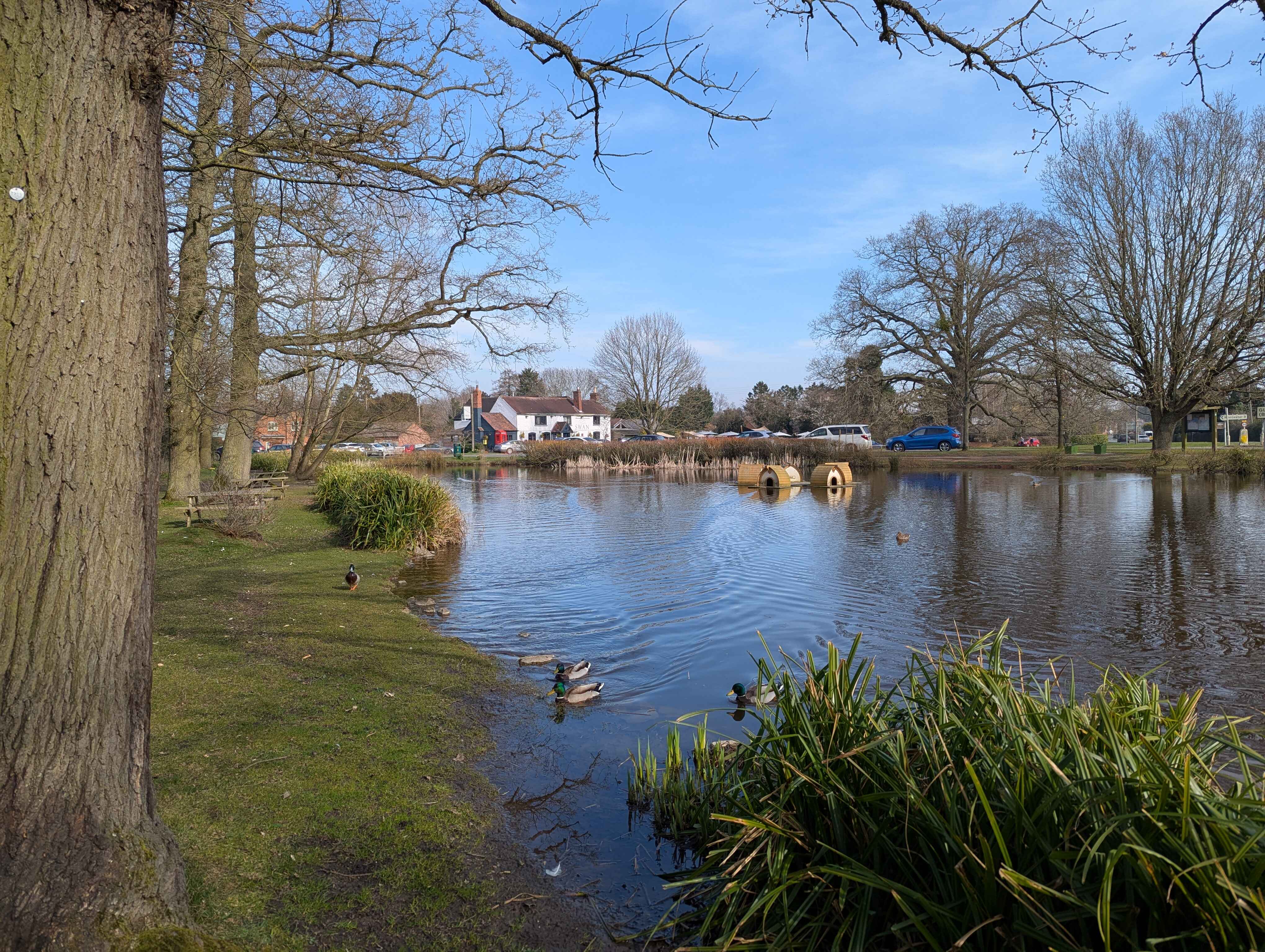 Hanley Swan